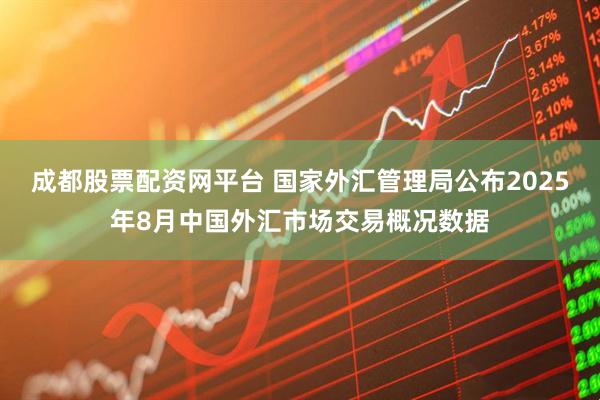 成都股票配资网平台 国家外汇管理局公布2025年8月中国外汇市场交易概况数据