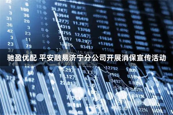 驰盈优配 平安融易济宁分公司开展消保宣传活动