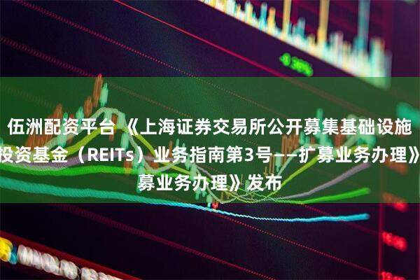 伍洲配资平台 《上海证券交易所公开募集基础设施证券投资基金（REITs）业务指南第3号——扩募业务办理》发布
