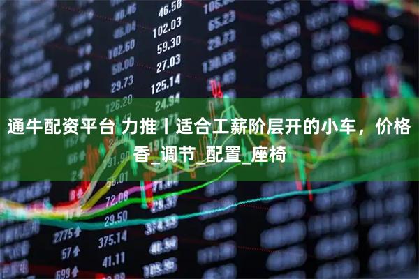 通牛配资平台 力推丨适合工薪阶层开的小车，价格香_调节_配置_座椅